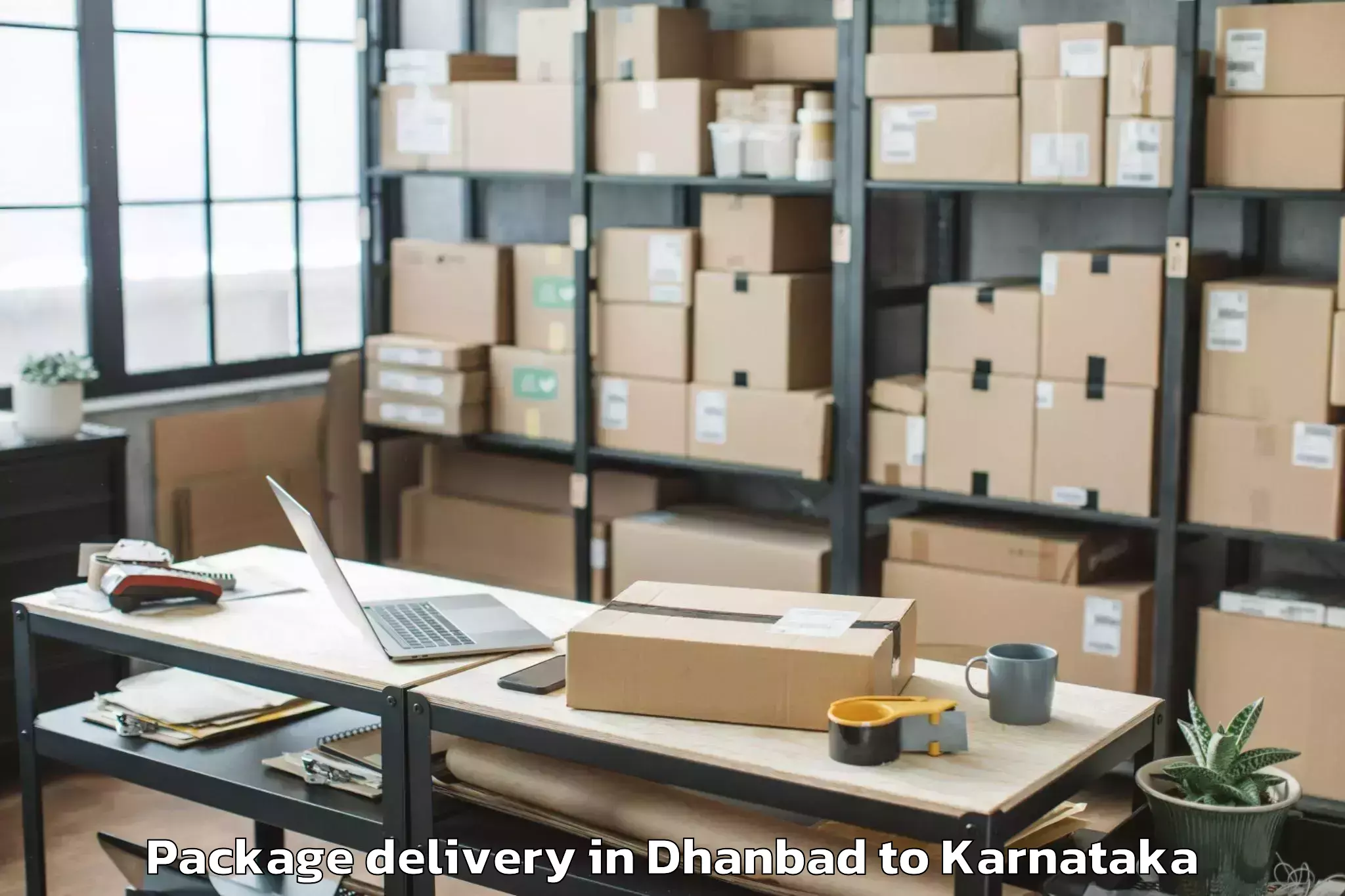 Trusted Dhanbad to Hosanagara Package Delivery